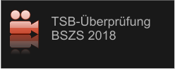 TSB-Überprüfung  BSZS 2018