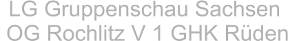 LG Gruppenschau Sachsen   OG Rochlitz V 1 GHK Rüden