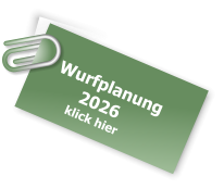 Wurfplanung        2026       klick hier